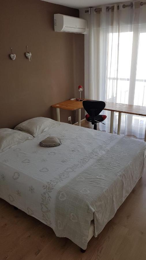 Tres Beau 3 Pieces Spacieux Lumineux Et Climatise นีซ ภายนอก รูปภาพ